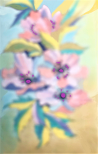ПР1135.png